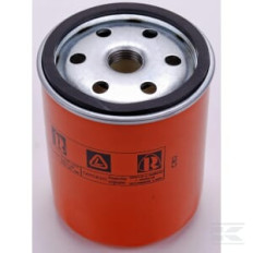 Lombardini ED0021751970S Filtre de carburant