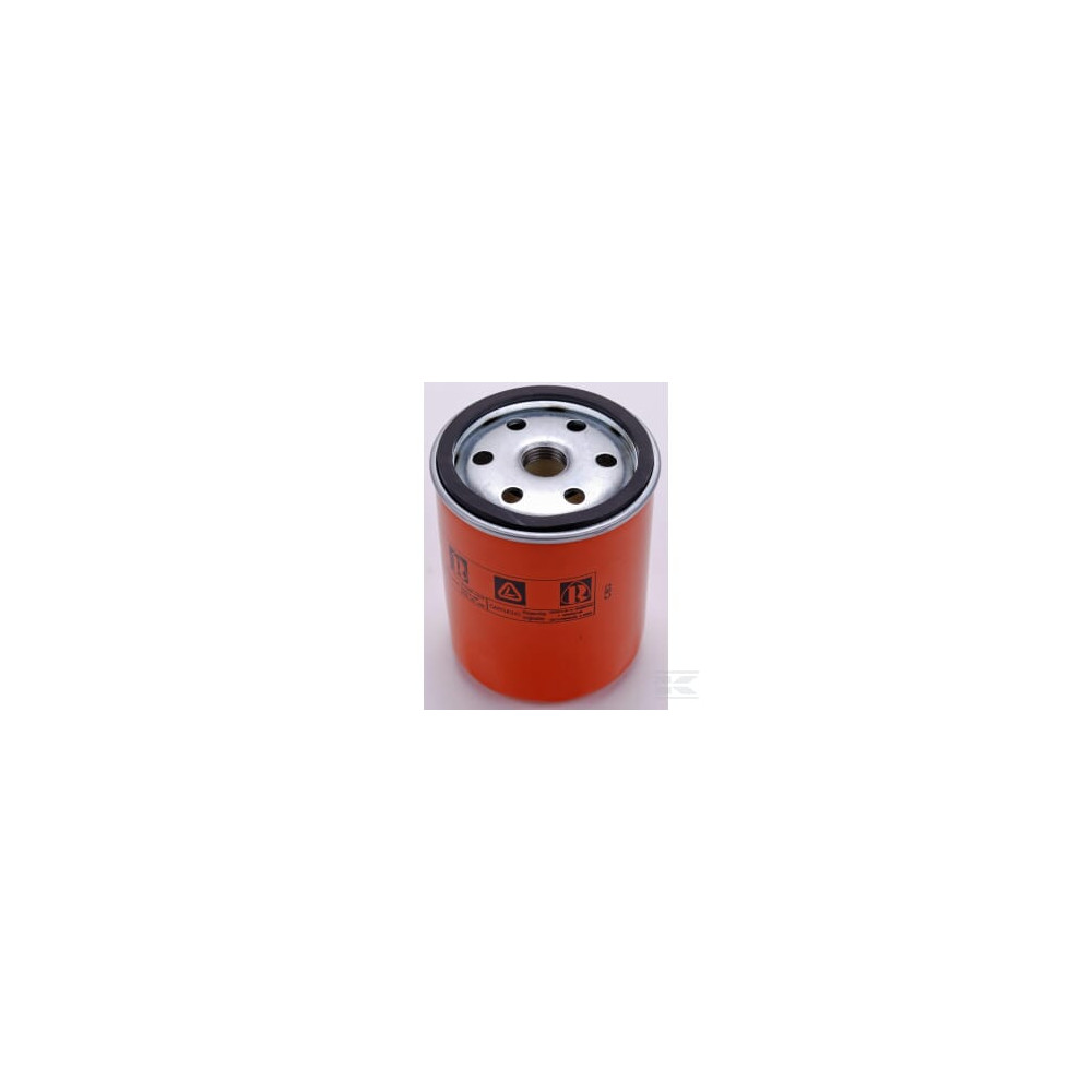 Lombardini ED0021751970S Filtre de carburant