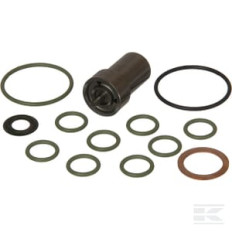 Lombardini 4896040 Injecteur de carburant