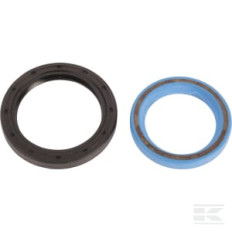 Lombardini ED00A21R0250S Joint d'huile, kit (2)