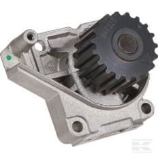 Lombardini ED0065845650S Pompe à eau