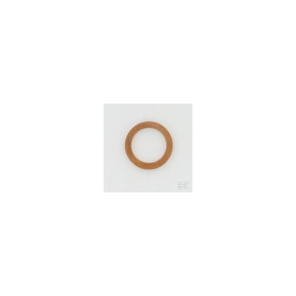 Lombardini 4670060 Bague