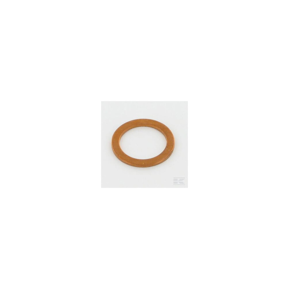 Lombardini 4670082 Joint pour injecteur