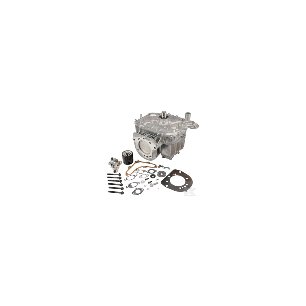 Lombardini 2052217 Shortblock SV470/540