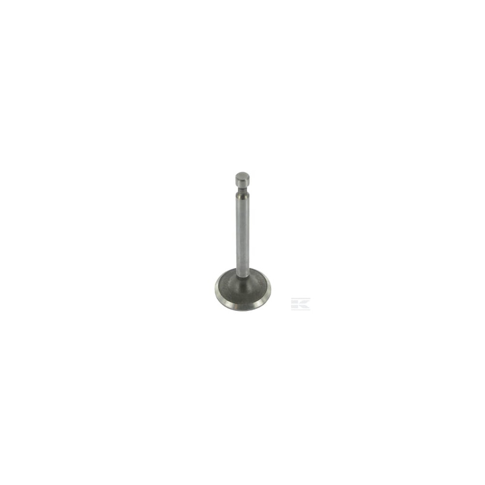 Lombardini ED0064000280S Plateau