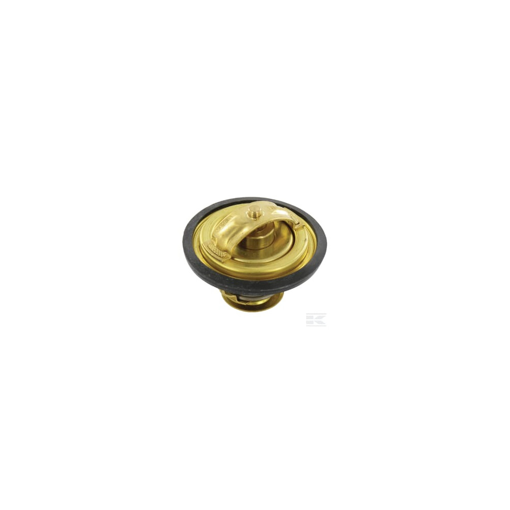 Lombardini 9195001 Thermostat