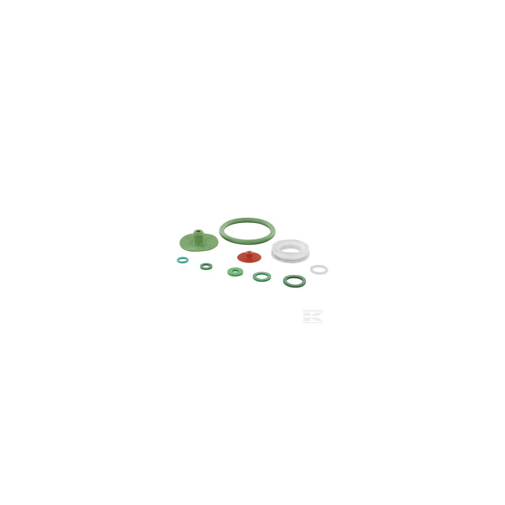 Birchmeier 10399003SBBIR Kit de joints