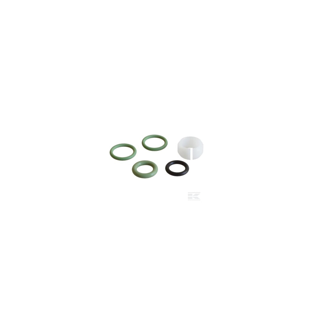 Birchmeier 10985205SB Jeu de joints