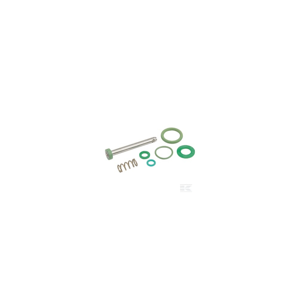 Birchmeier 11664910 Kit joint déclnch. Viton (10B)