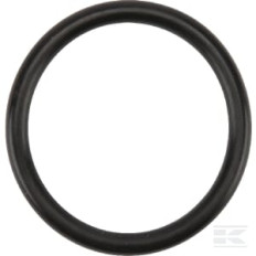 Birchmeier 50117062 Joint torique 31,34x3,53