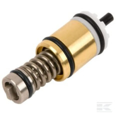 Kärcher 45807923 Limiteur de pression complet