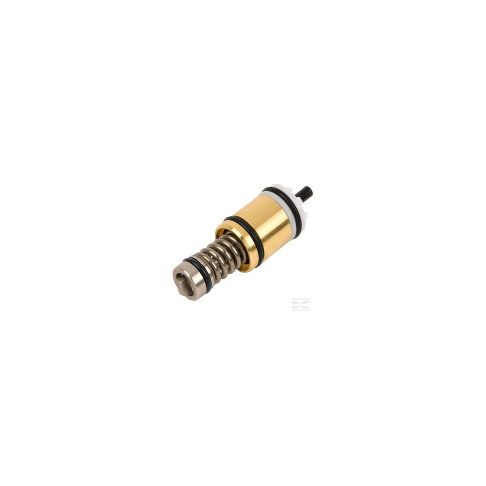 Kärcher 45807923 Limiteur de pression complet