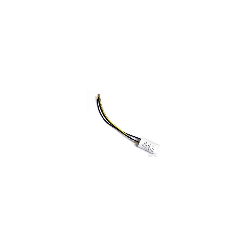 Kärcher 66610920 Filtre antiparasite