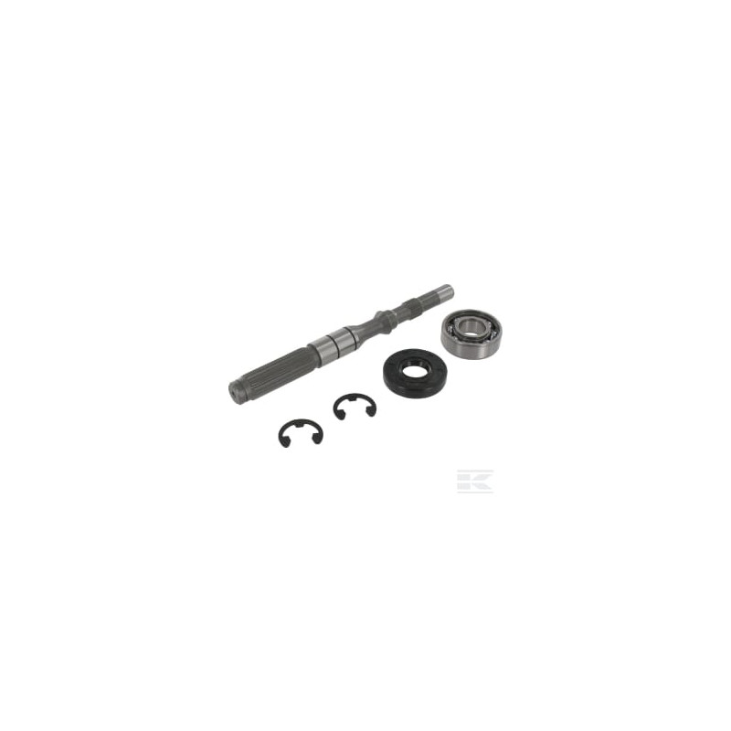 Tuff Torq 1A646099950 Kit arbre de pompe/roulement