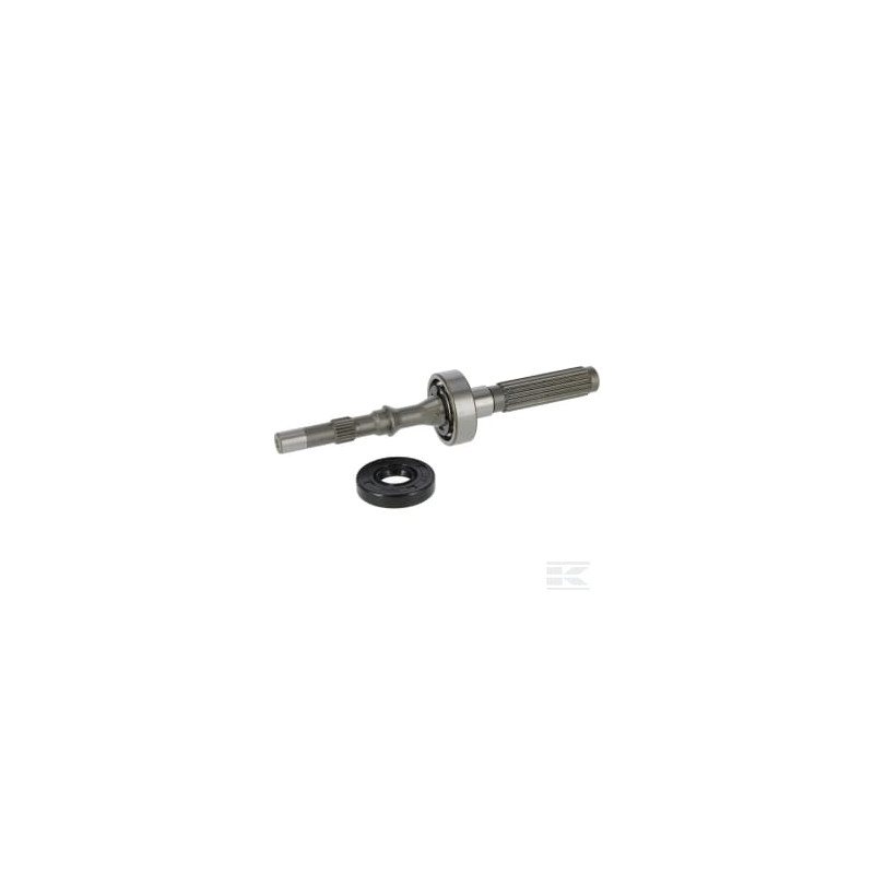 Tuff Torq 1A646099970 Kit arbre de pompe/roulement