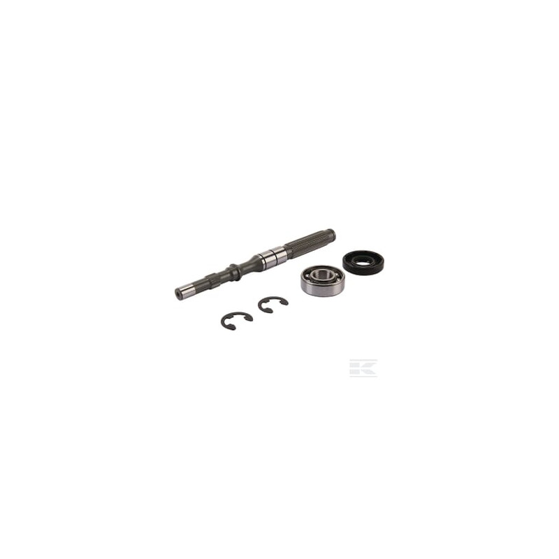 Tuff Torq 1A646099960 Kit arbre de pompe/roulement