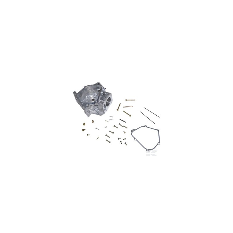 Briggs & Stratton 699510 Cylindre