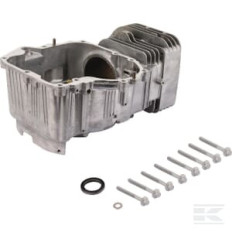 Briggs & Stratton 796010 Cylindre