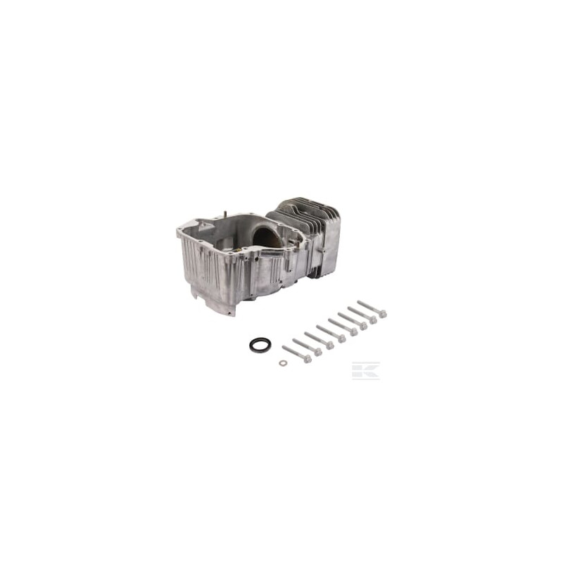 Briggs & Stratton 796010 Cylindre