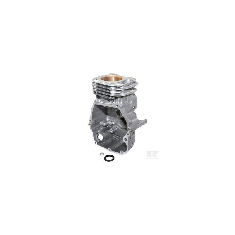 Briggs & Stratton 798947 Cylindre
