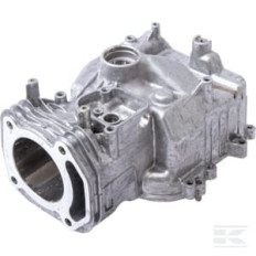 Briggs & Stratton 597120 Assemblage de cylindre