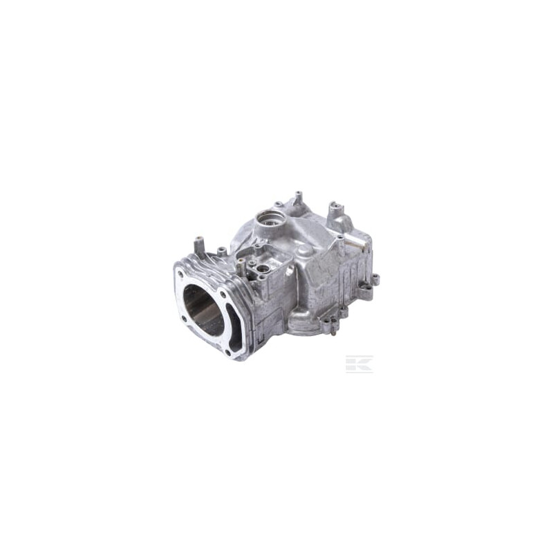 Briggs & Stratton 597120 Assemblage de cylindre