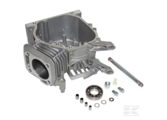 Briggs & Stratton 591446 Cylindre