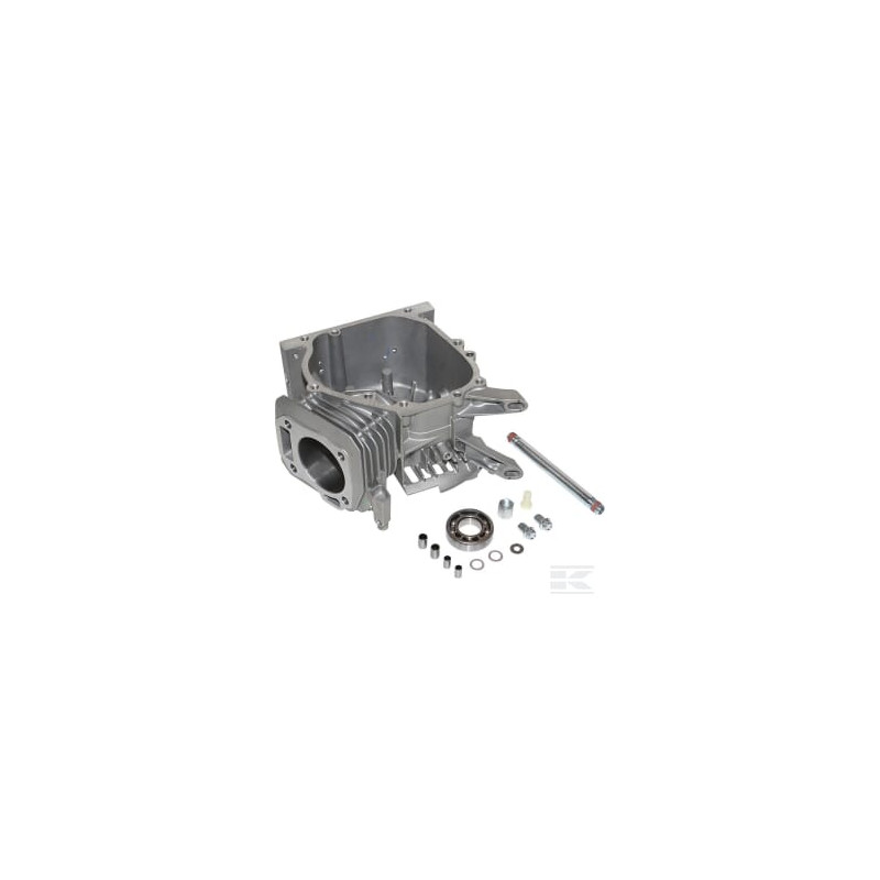 Briggs & Stratton 591446 Cylindre