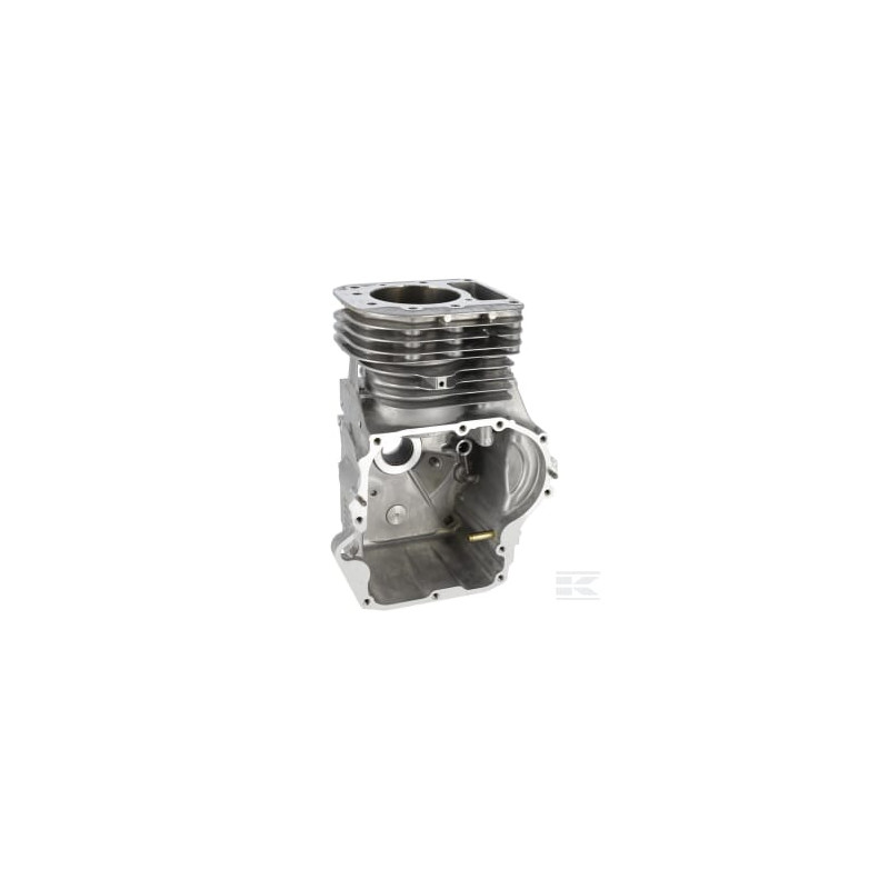 Briggs & Stratton 591465 Assemblage de cylindre