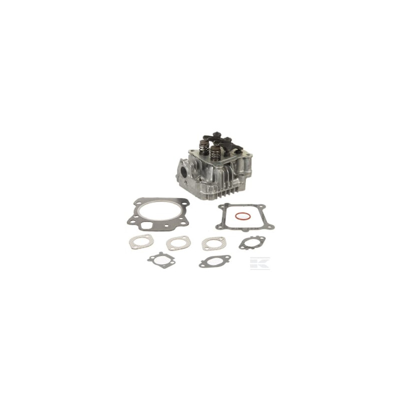 Briggs & Stratton 84004354 Culasse