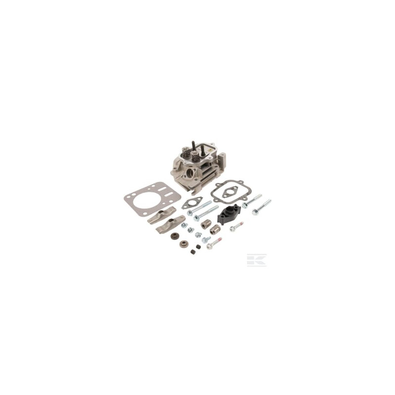 Briggs & Stratton 594514 Culasse