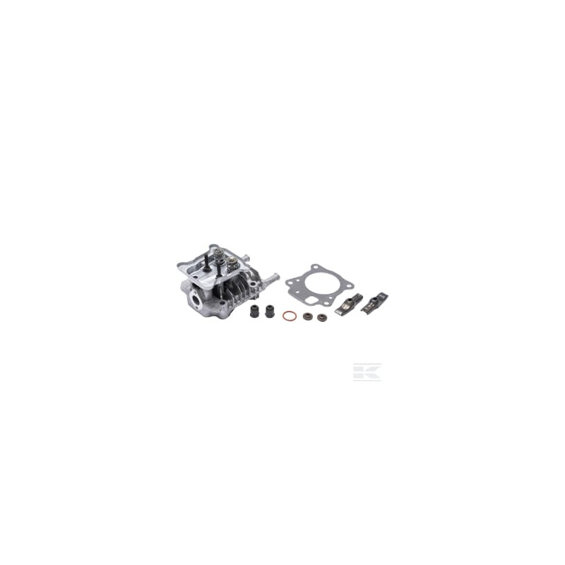 Briggs & Stratton 597267 Culasse
