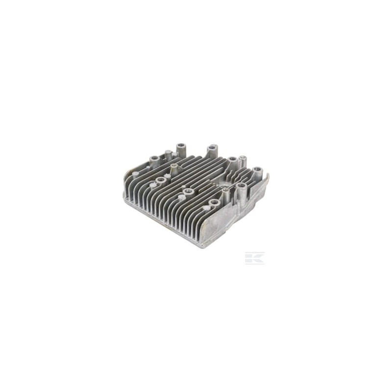 Briggs & Stratton 691154 Culasse