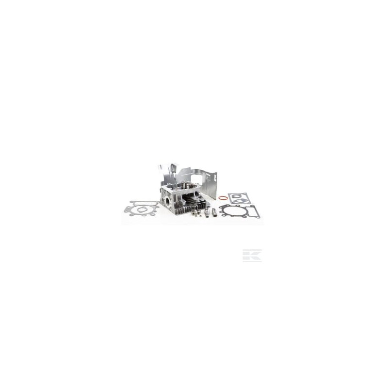Briggs & Stratton 84011649 Culasse