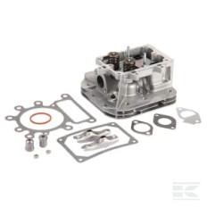 Briggs & Stratton 796183 Culasse