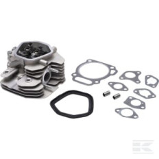 Briggs & Stratton 799801 Culasse