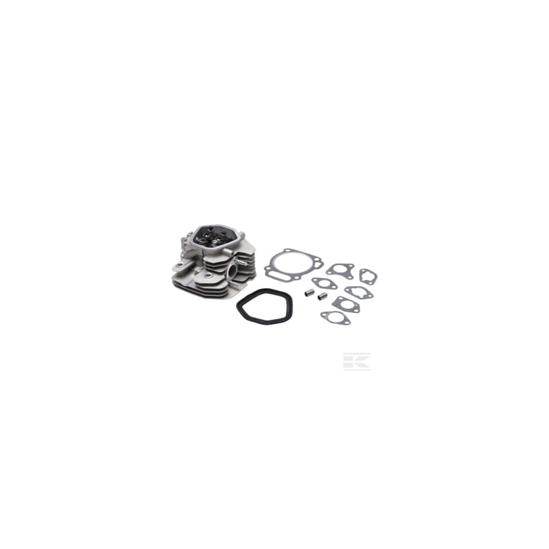 Briggs & Stratton 799801 Culasse