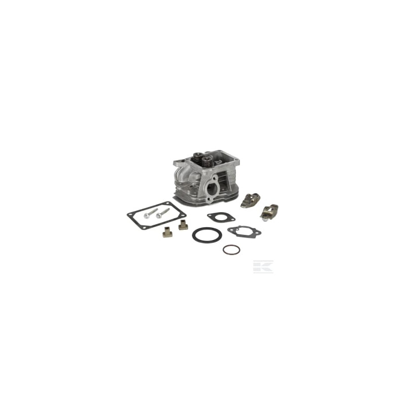 Briggs & Stratton 799858 Culasse