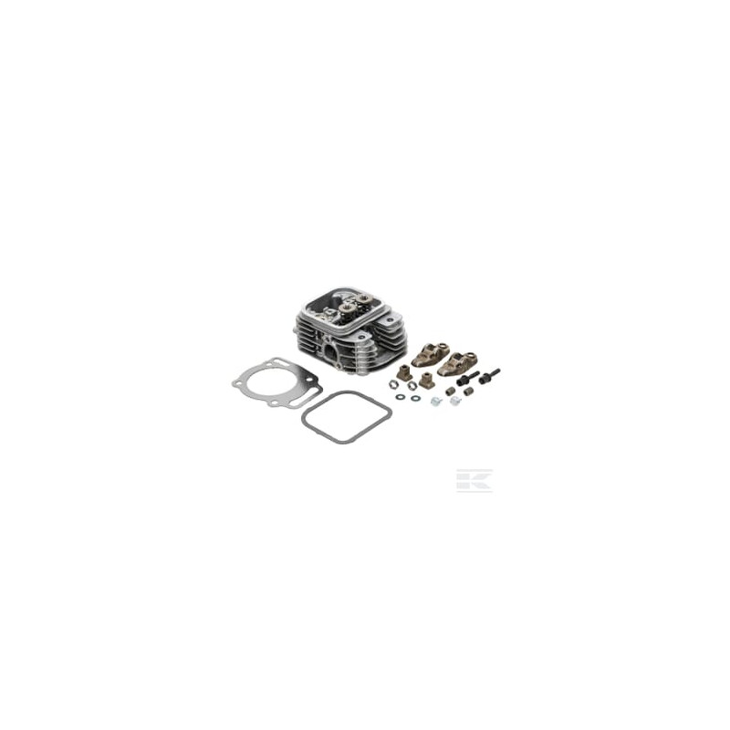 Briggs & Stratton 809200WM Culasse