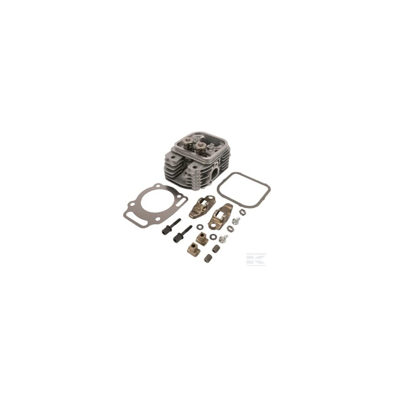 Briggs & Stratton 809201 Culasse