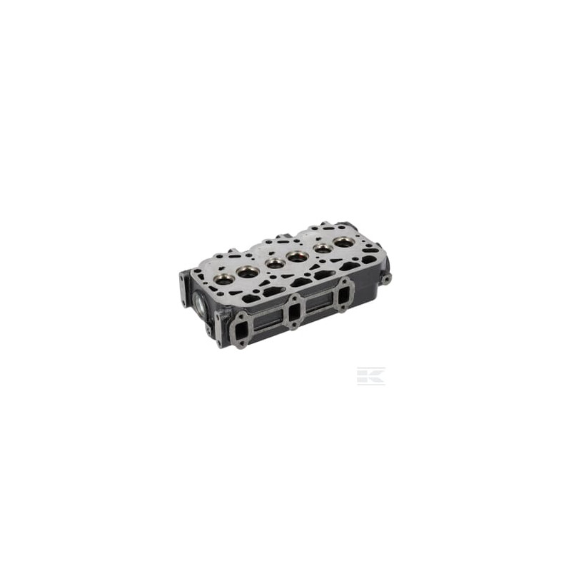Briggs & Stratton 825683 Culasse
