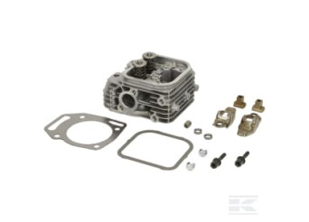 Briggs & Stratton 84002010 Culasse