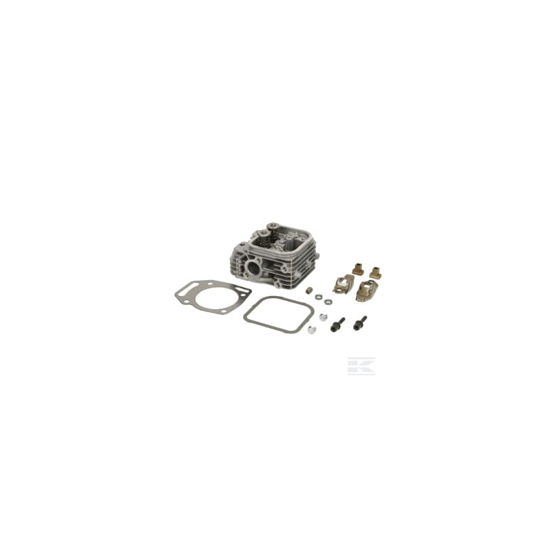 Briggs & Stratton 84002010 Culasse