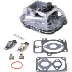 Briggs & Stratton 84001918 Culasse