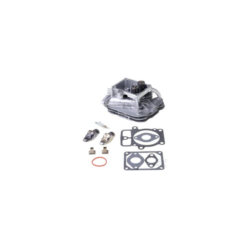 Briggs & Stratton 84001918 Culasse