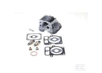 Briggs & Stratton 84001919 Culasse
