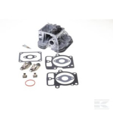 Briggs & Stratton 84001919 Culasse