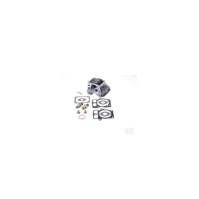 Briggs & Stratton 84001919 Culasse