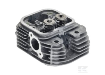 Briggs & Stratton 84002012 Culasse