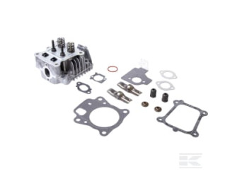 Briggs & Stratton 84003960 Culasse